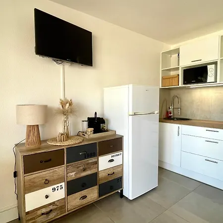 Studio Climatise Avec Coin Nuit Et Piscine Proche Plage - Fr-1-748-25 Canet-en-Roussillon